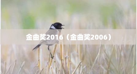 金曲奖2016（金曲奖2006）