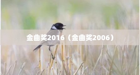 金曲奖2016（金曲奖2006）