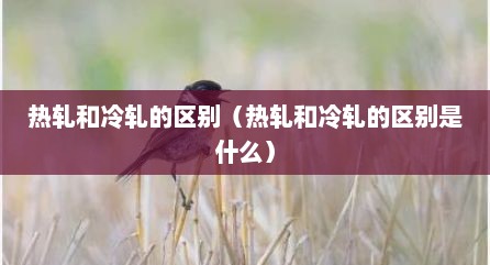 热轧和冷轧的区别（热轧和冷轧的区别是什么）