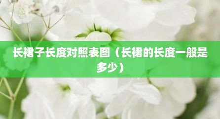 长裙子长度对照表图（长裙的长度一般是多少）