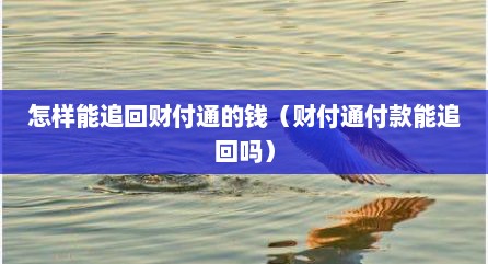 怎样能追回财付通的钱（财付通付款能追回吗）