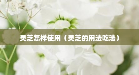 灵芝怎样使用（灵芝的用法吃法）
