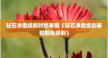 钻石净度级别对照表图（钻石净度级别表和颜色级别）
