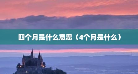 四个月是什么意思（4个月是什么）