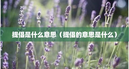 提倡是什么意思（提倡的意思是什么）