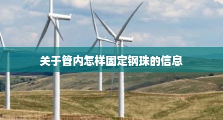 关于管内怎样固定钢珠的信息
