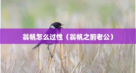 翁帆怎么过性（翁帆之前老公）