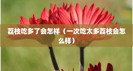 荔枝吃多了会怎样（一次吃太多荔枝会怎么样）