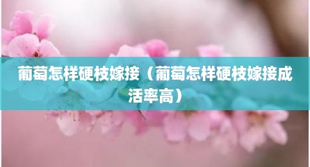 葡萄怎样硬枝嫁接（葡萄怎样硬枝嫁接成活率高）