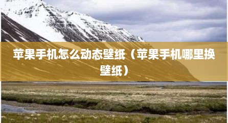 苹果手机怎么动态壁纸（苹果手机哪里换壁纸）