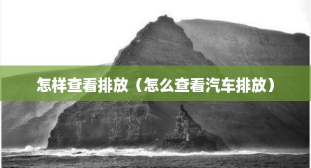 怎样查看排放（怎么查看汽车排放）