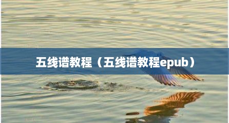 五线谱教程（五线谱教程epub）