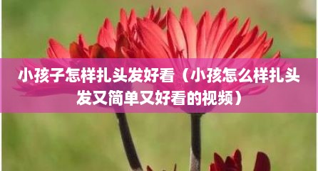 小孩子怎样扎头发好看（小孩怎么样扎头发又简单又好看的视频）