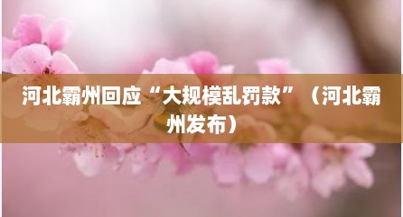 河北霸州回应“大规模乱罚款”（河北霸州发布）