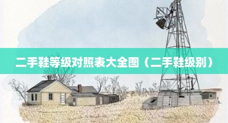 二手鞋等级对照表大全图（二手鞋级别）