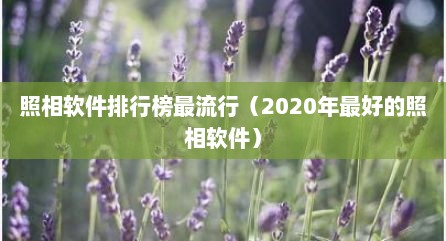 照相软件排行榜最流行（2020年最好的照相软件）
