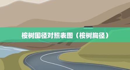 桉树围径对照表图（桉树胸径）
