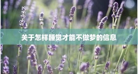 关于怎样睡觉才能不做梦的信息