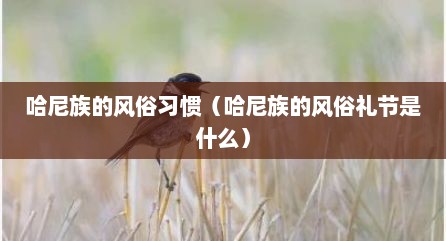 哈尼族的风俗习惯（哈尼族的风俗礼节是什么）