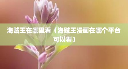 海贼王在哪里看（海贼王漫画在哪个平台可以看）