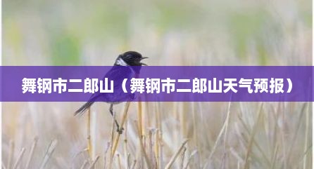 舞钢市二郎山（舞钢市二郎山天气预报）