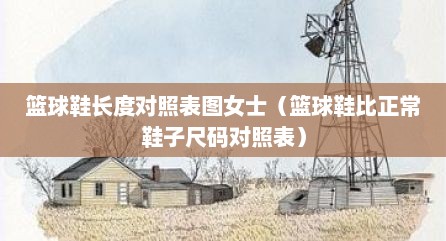 篮球鞋长度对照表图女士（篮球鞋比正常鞋子尺码对照表）