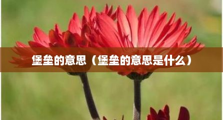 堡垒的意思（堡垒的意思是什么）