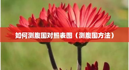 如何测腹围对照表图（测腹围方法）
