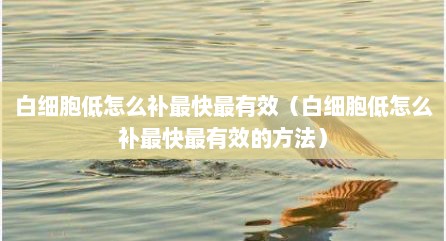白细胞低怎么补最快最有效（白细胞低怎么补最快最有效的方法）