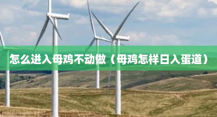 怎么进入母鸡不动做（母鸡怎样日入蛋道）