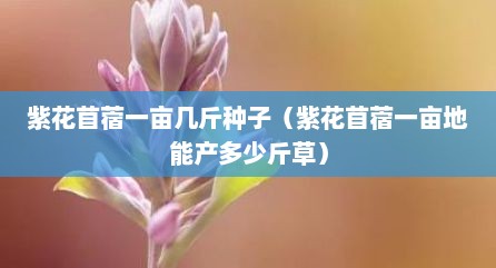 紫花苜蓿一亩几斤种子（紫花苜蓿一亩地能产多少斤草）