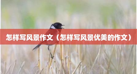 怎样写风景作文（怎样写风景优美的作文）