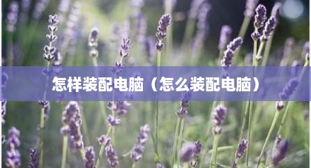 怎样装配电脑（怎么装配电脑）