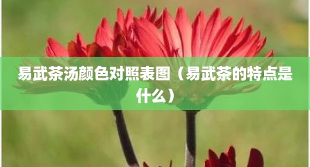 易武茶汤颜色对照表图（易武茶的特点是什么）