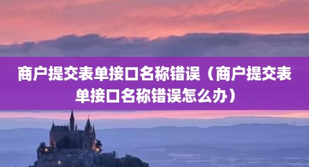商户提交表单接口名称错误（商户提交表单接口名称错误怎么办）