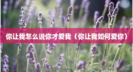 你让我怎么说你才爱我（你让我如何爱你）