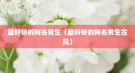 最好听的网名男生（最好听的网名男生古风）