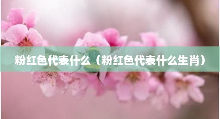 粉红色代表什么（粉红色代表什么生肖）