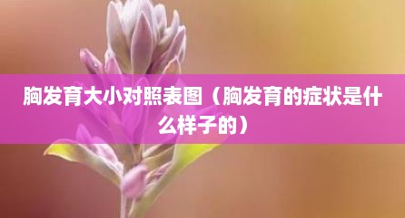 胸发育大小对照表图（胸发育的症状是什么样子的）