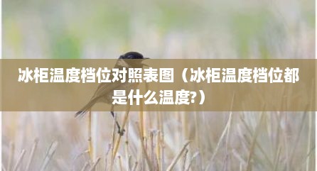 冰柜温度档位对照表图（冰柜温度档位都是什么温度?）