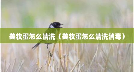美妆蛋怎么清洗（美妆蛋怎么清洗消毒）