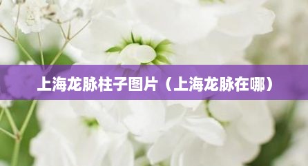 上海龙脉柱子图片（上海龙脉在哪）