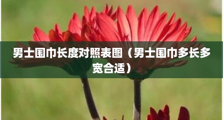 男士围巾长度对照表图（男士围巾多长多宽合适）