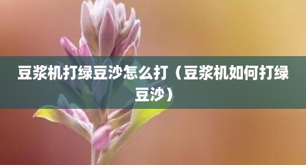 豆浆机打绿豆沙怎么打（豆浆机如何打绿豆沙）