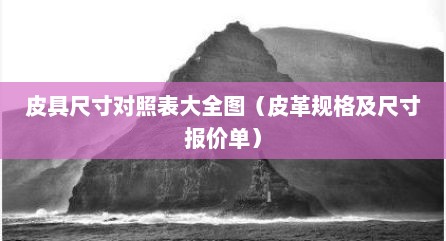 皮具尺寸对照表大全图（皮革规格及尺寸报价单）