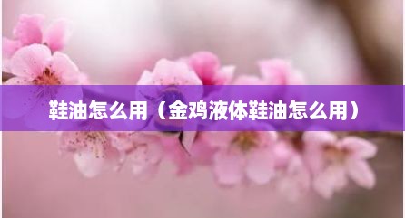 鞋油怎么用（金鸡液体鞋油怎么用）