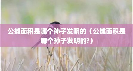 公摊面积是哪个孙子发明的（公摊面积是哪个孙子发明的?）