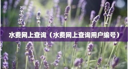 水费网上查询（水费网上查询用户编号）