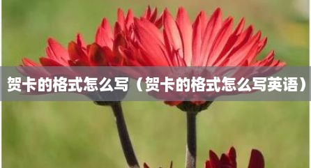 贺卡的格式怎么写（贺卡的格式怎么写英语）