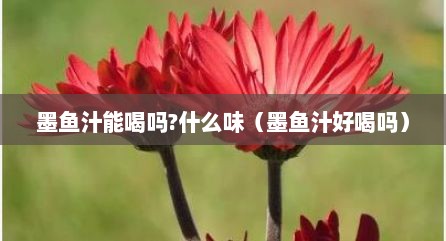 墨鱼汁能喝吗?什么味（墨鱼汁好喝吗）